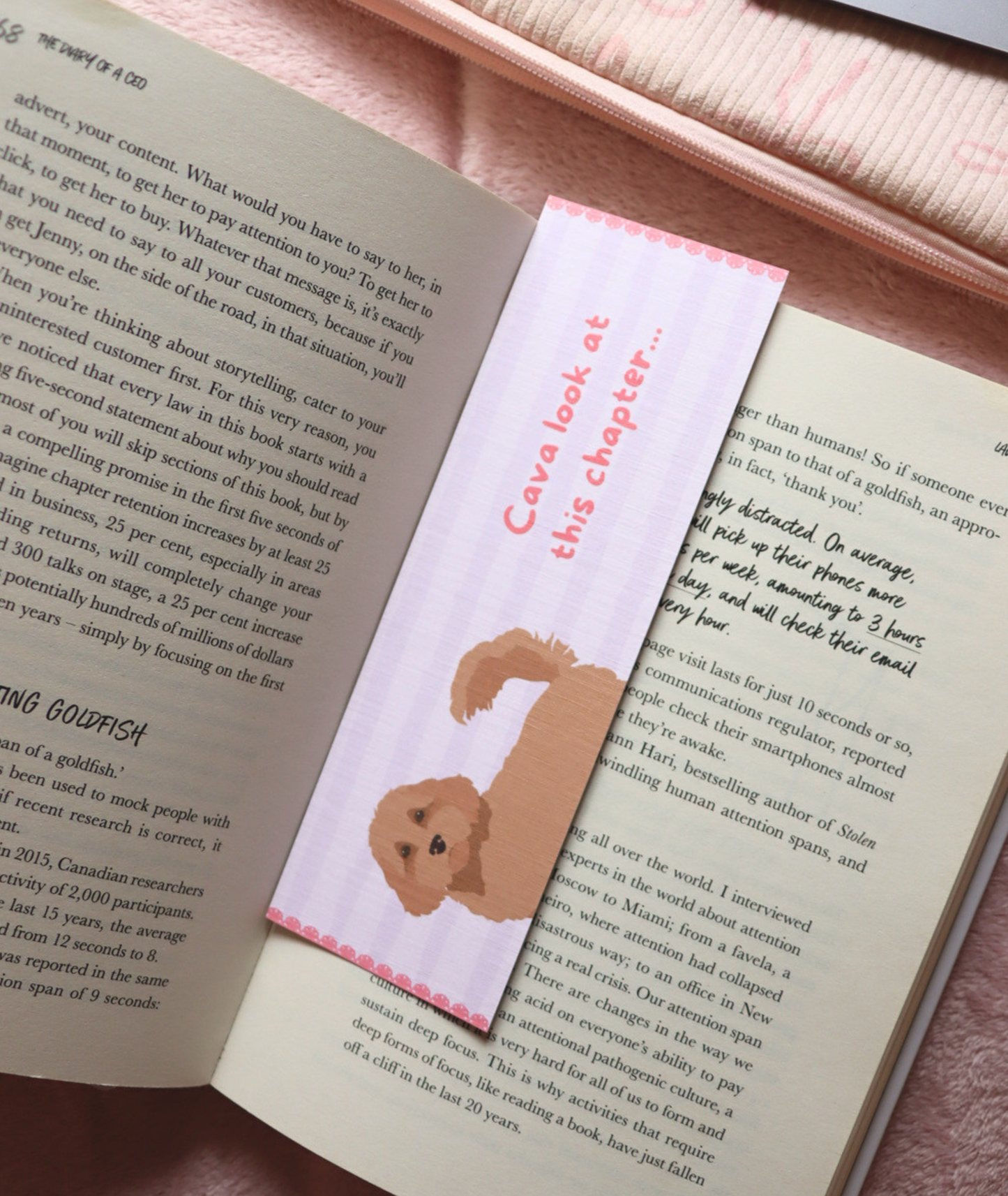 Cava Look at This Chapter… Cavapoo Bookmark