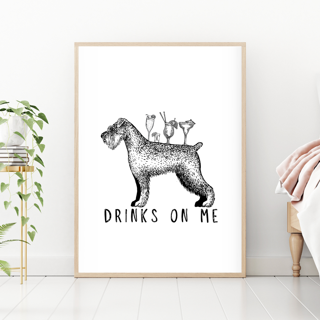 Schnauzer Drinks On Me