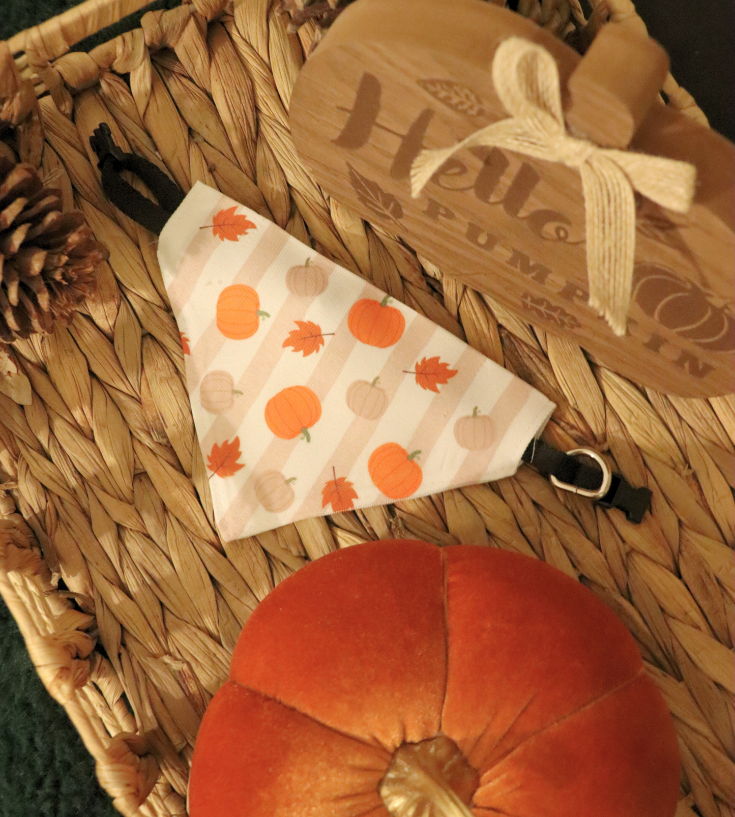 Pumpkin Spice Bandana