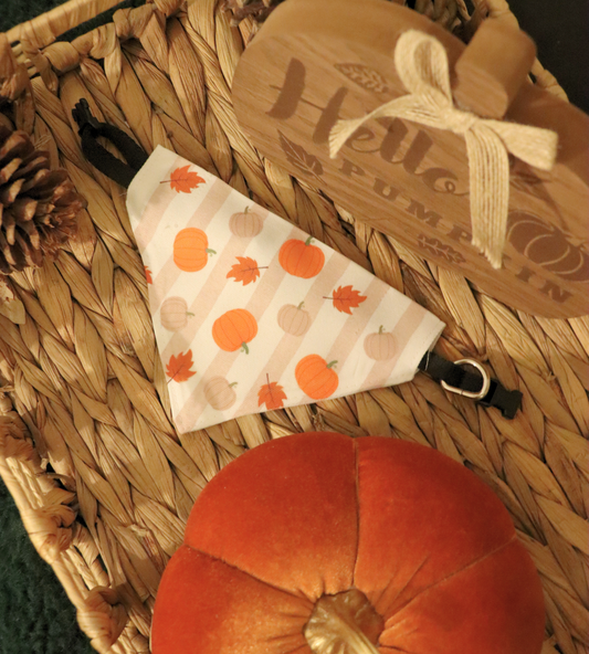 Pumpkin Spice Bandana