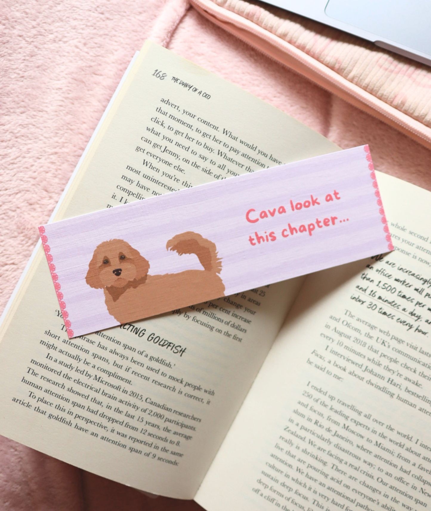 Cava Look at This Chapter… Cavapoo Bookmark