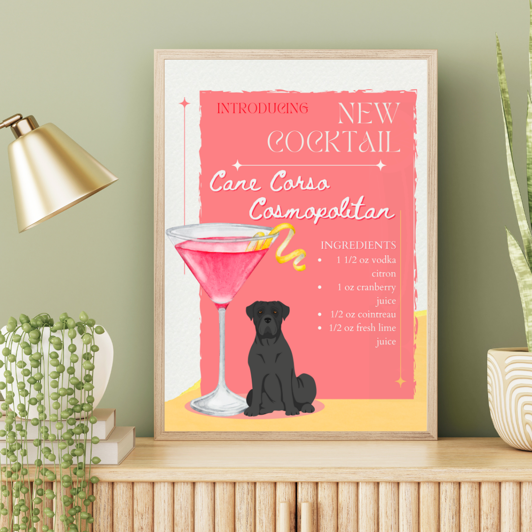 Cane Corso Cosmopolitan