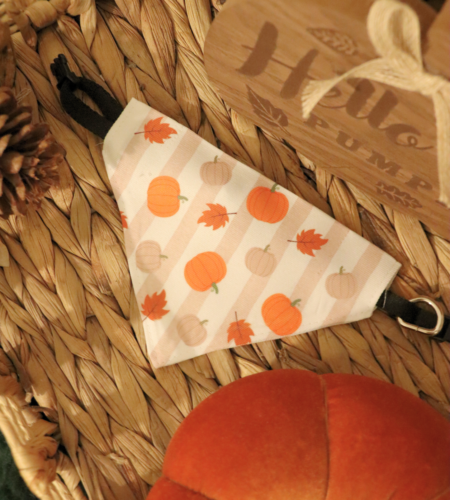 Pumpkin Spice Bandana