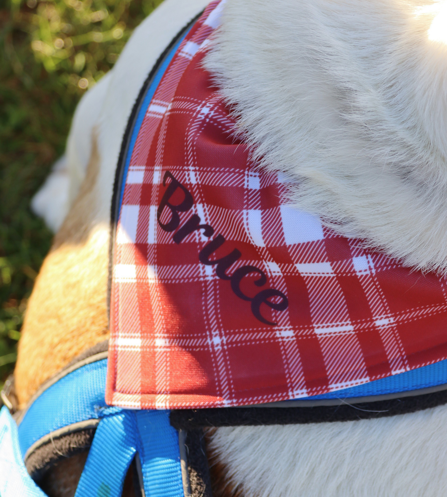 Dog Custom Plaid Bandana