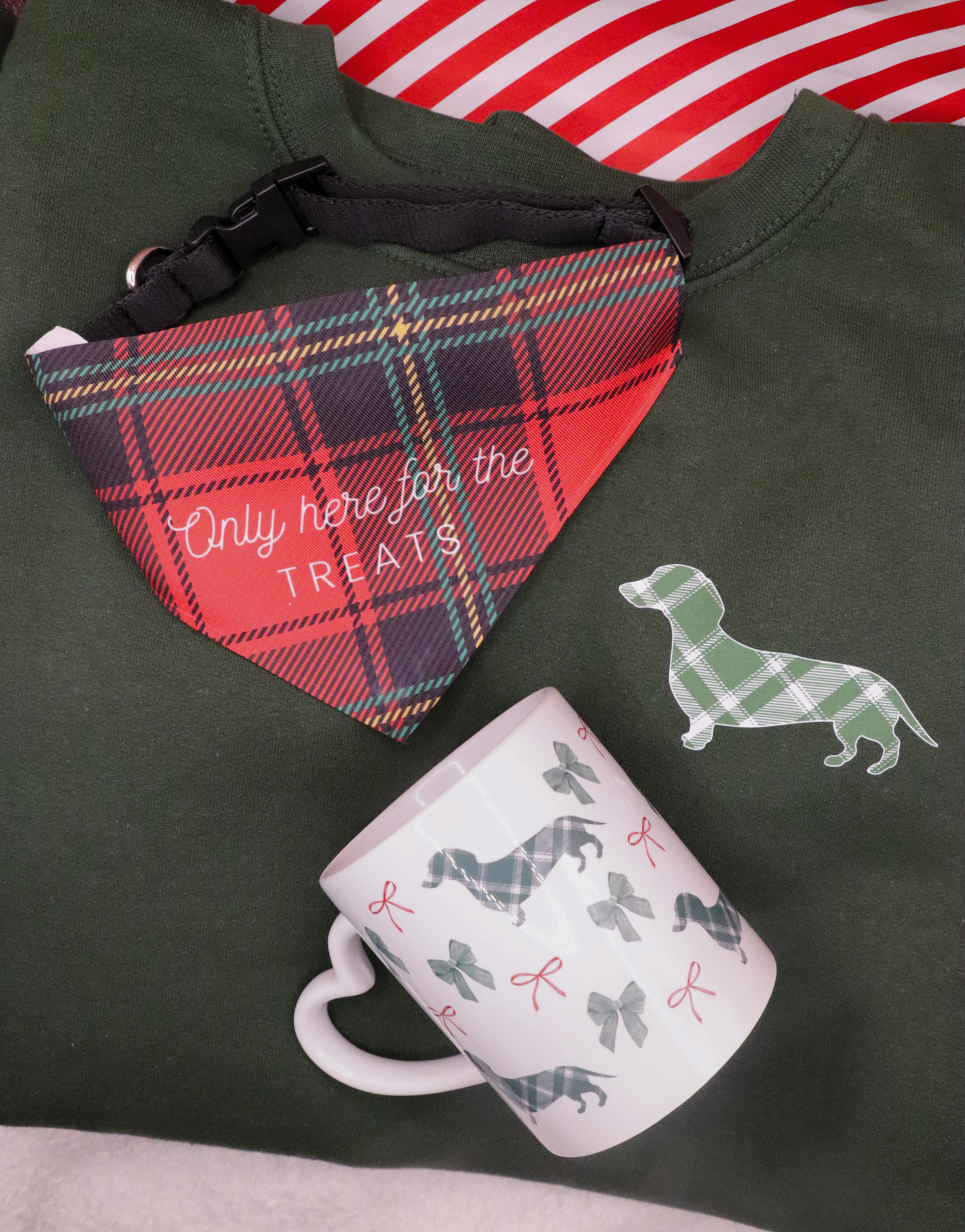 Plaid Dog Sweatshirt