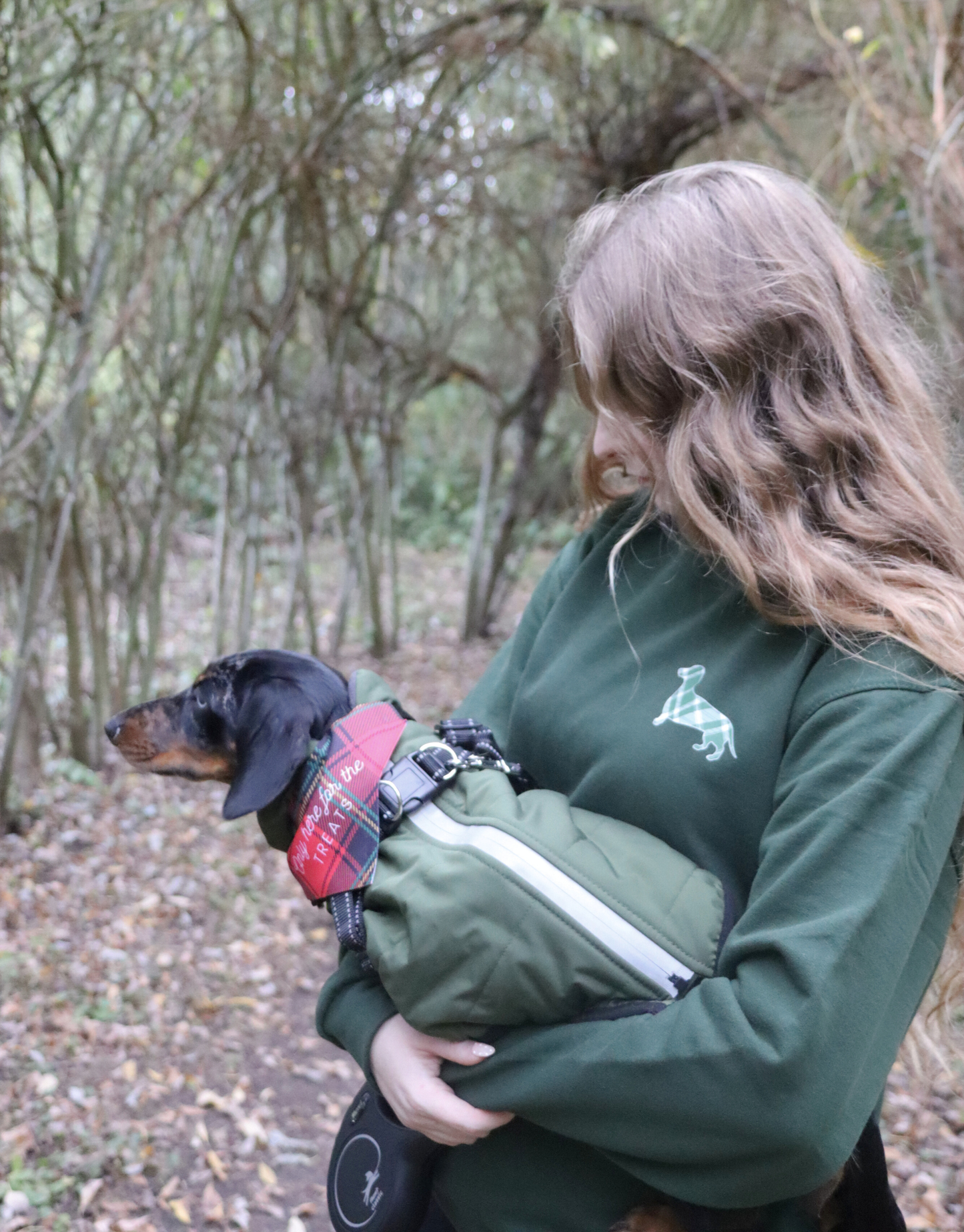Festive Sweatshirt, Dog Bandana & Mug Set