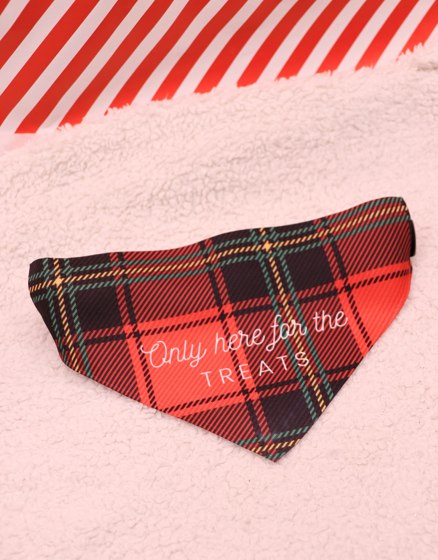 Festive Sweatshirt, Dog Bandana & Mug Set
